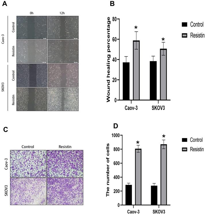 J Cancer Image