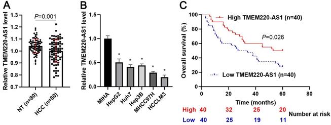 J Cancer Image