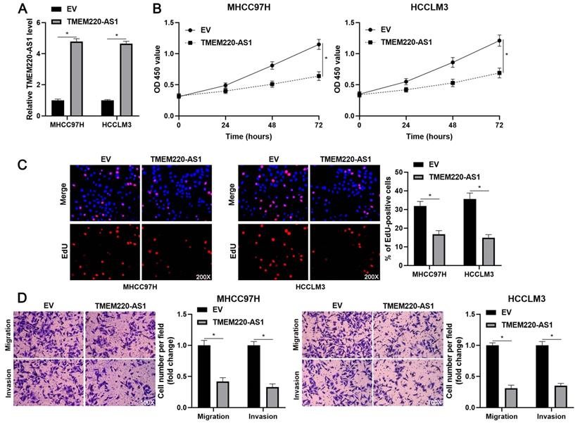 J Cancer Image