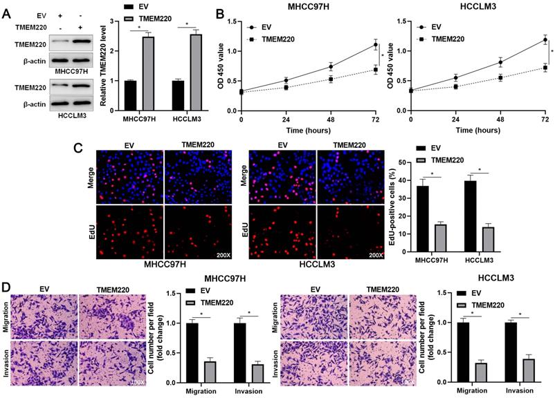 J Cancer Image