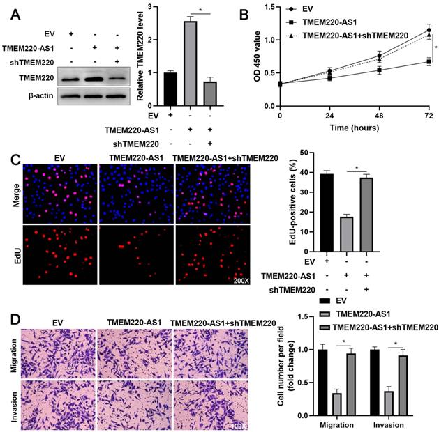 J Cancer Image