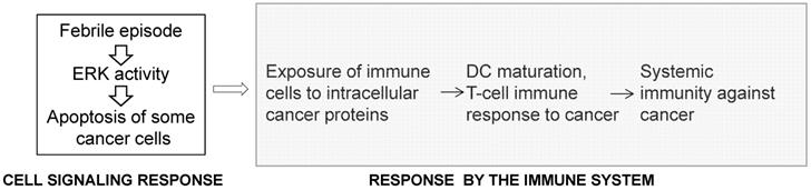 J Cancer Image