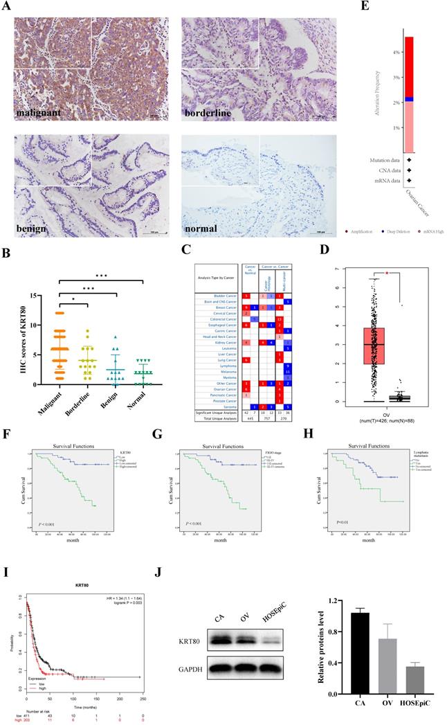 J Cancer Image