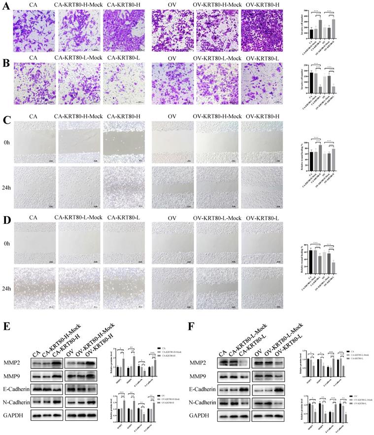 J Cancer Image