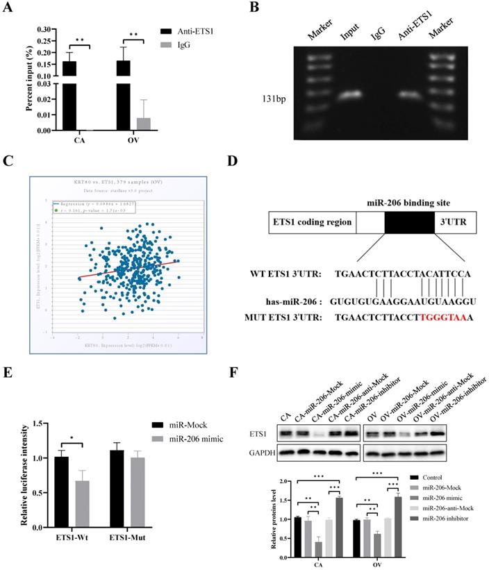 J Cancer Image