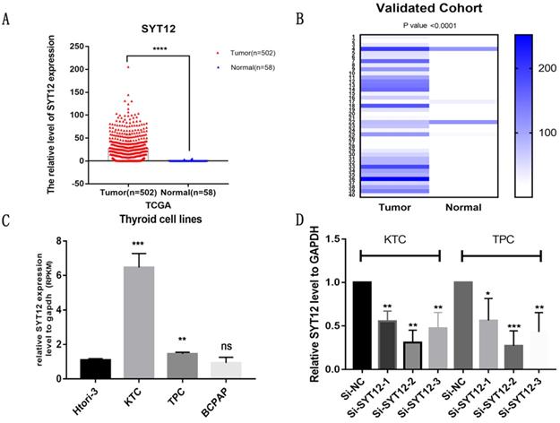 J Cancer Image