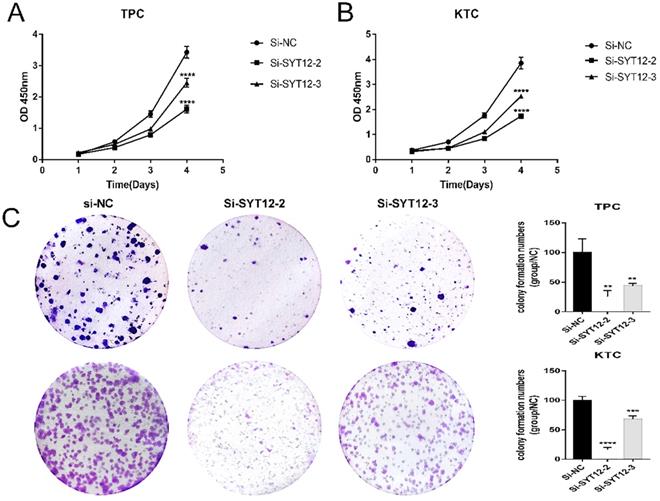 J Cancer Image