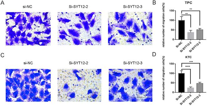 J Cancer Image