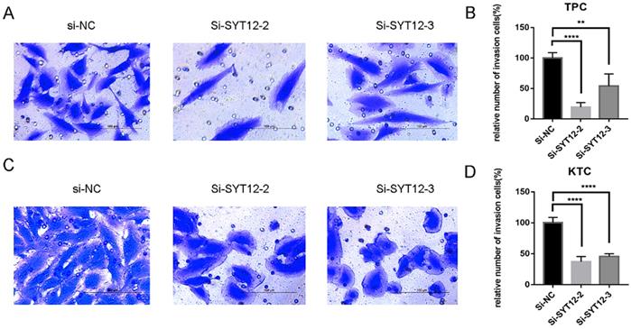 J Cancer Image