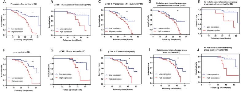 J Cancer Image