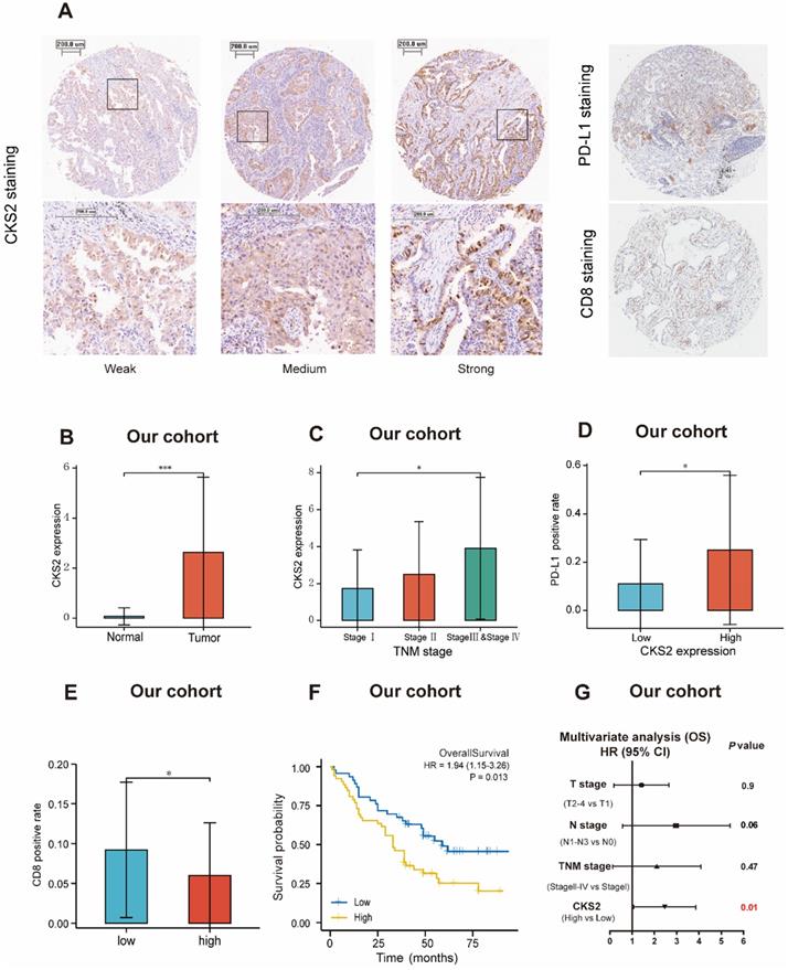 J Cancer Image