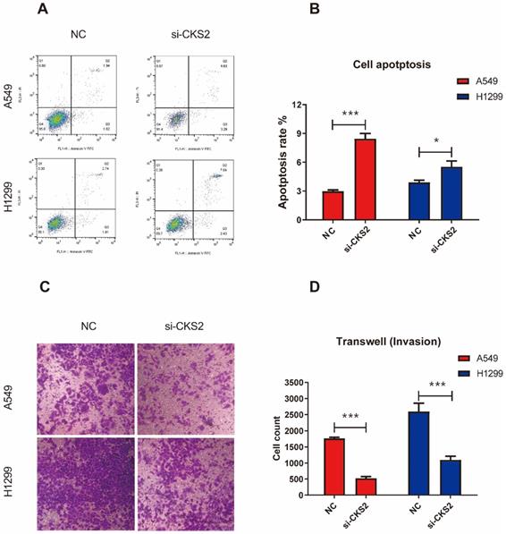 J Cancer Image