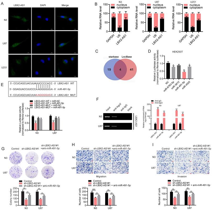 J Cancer Image