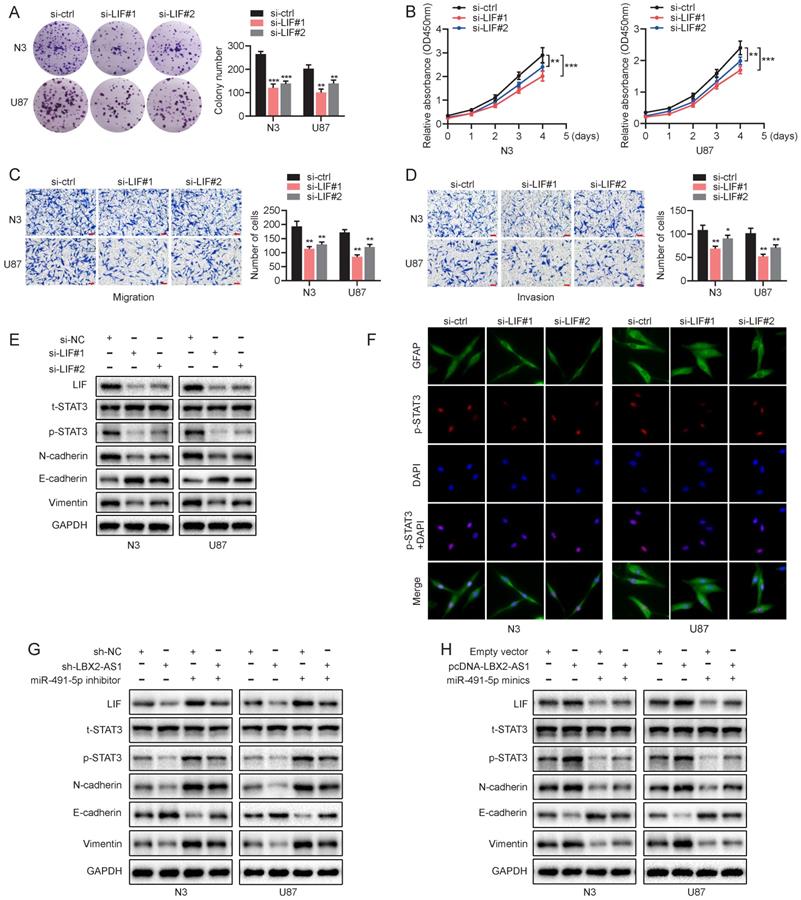 J Cancer Image