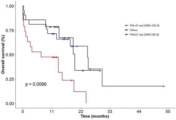 J Cancer Image