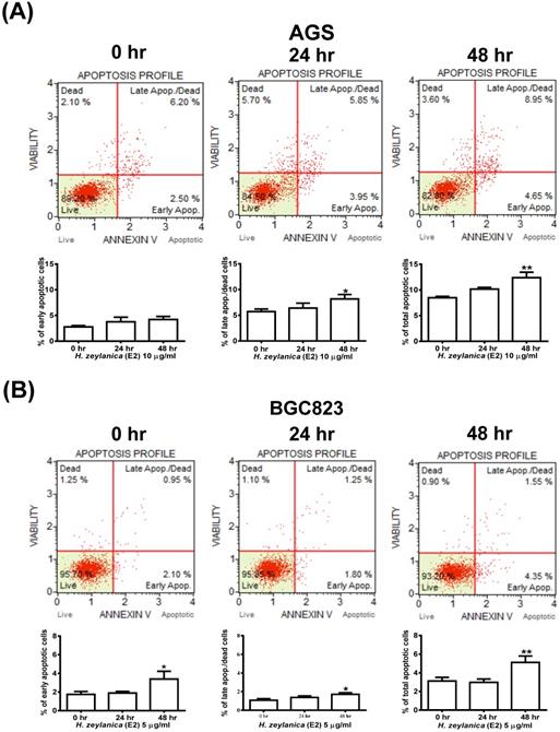 J Cancer Image