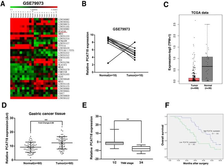 J Cancer Image