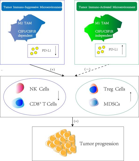 J Cancer Image