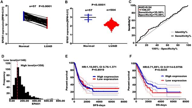 J Cancer Image