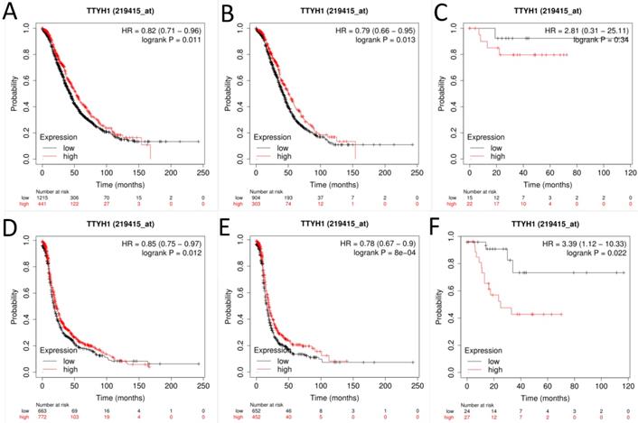 J Cancer Image