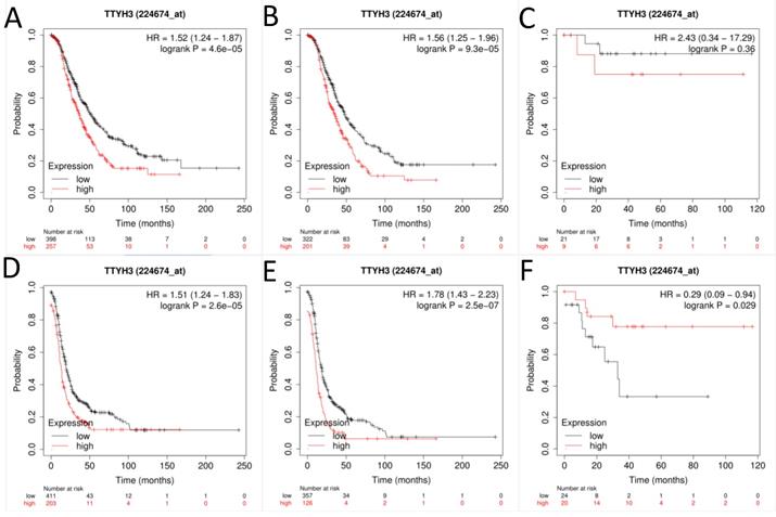 J Cancer Image