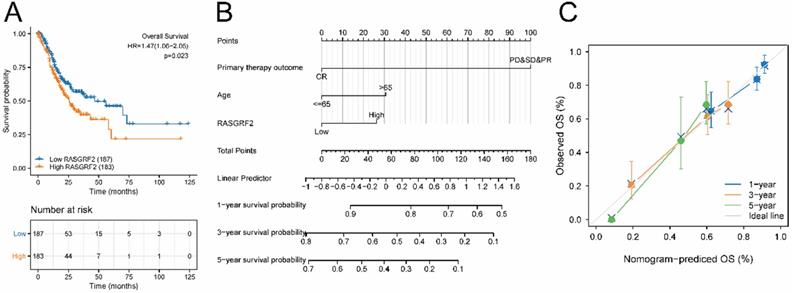 J Cancer Image