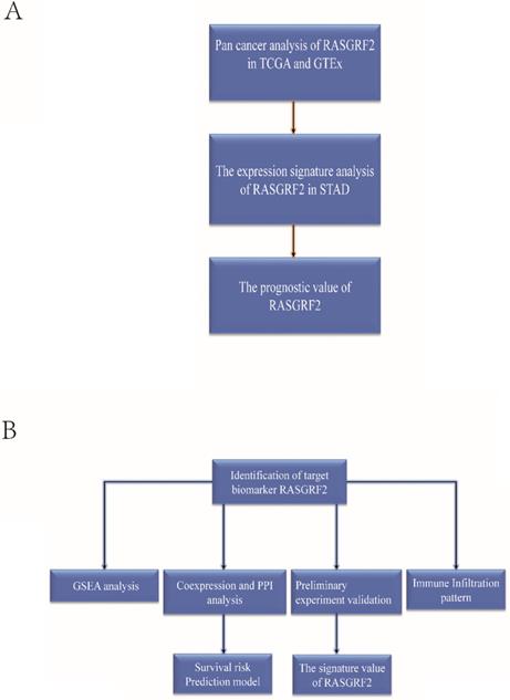 J Cancer Image