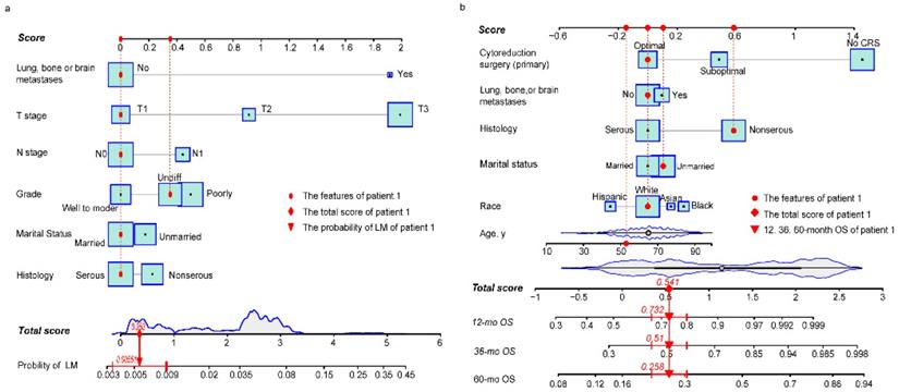 J Cancer Image