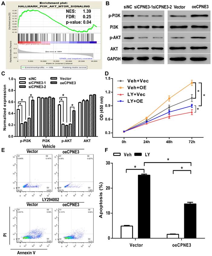 J Cancer Image