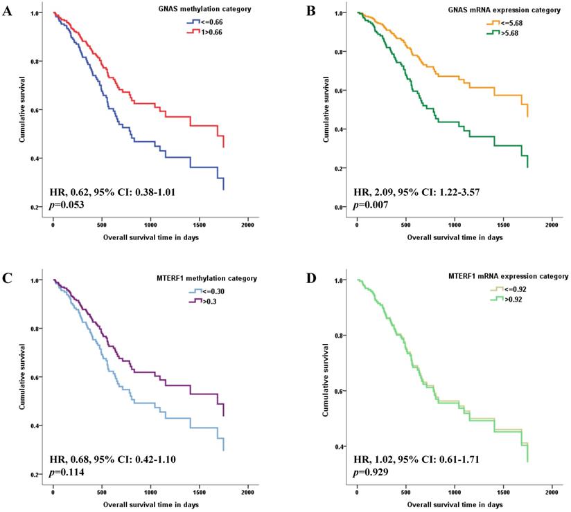 J Cancer Image