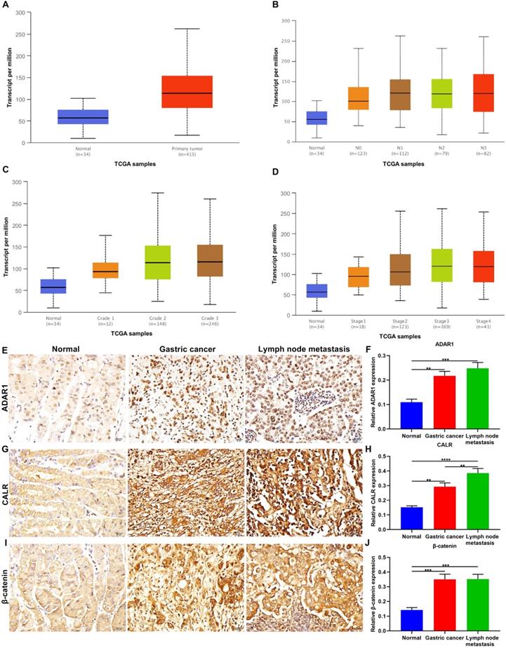 J Cancer Image