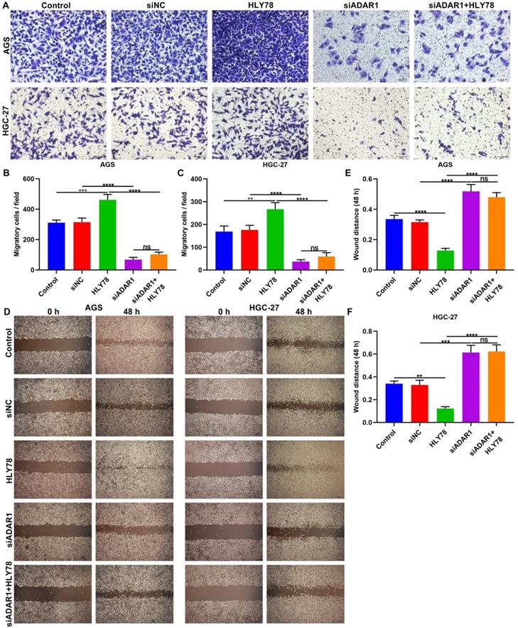 J Cancer Image