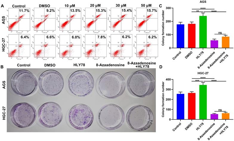 J Cancer Image