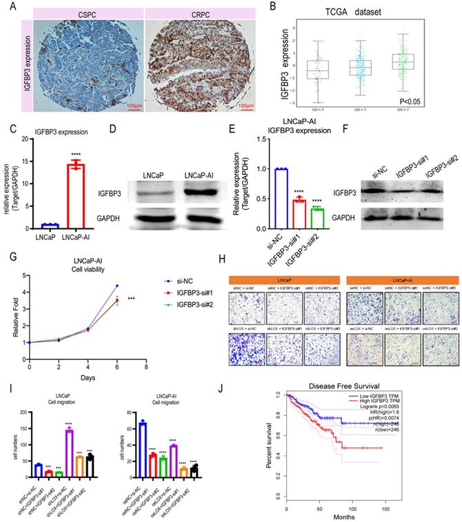 J Cancer Image