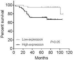 J Cancer Image