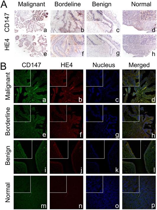 J Cancer Image