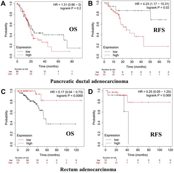 J Cancer Image