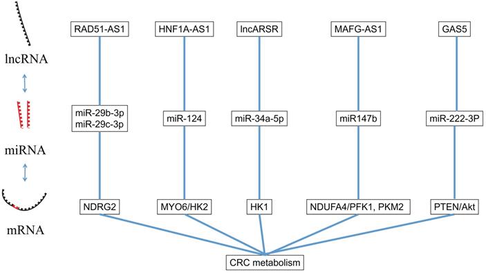 J Cancer Image