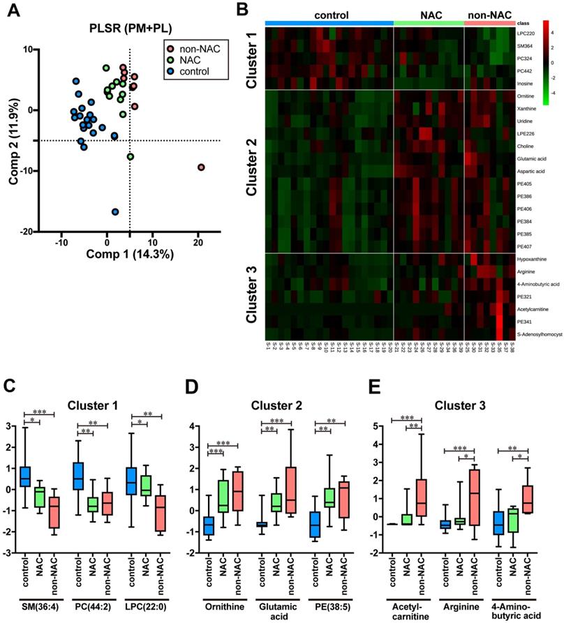 J Cancer Image