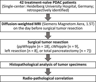 J Cancer Image