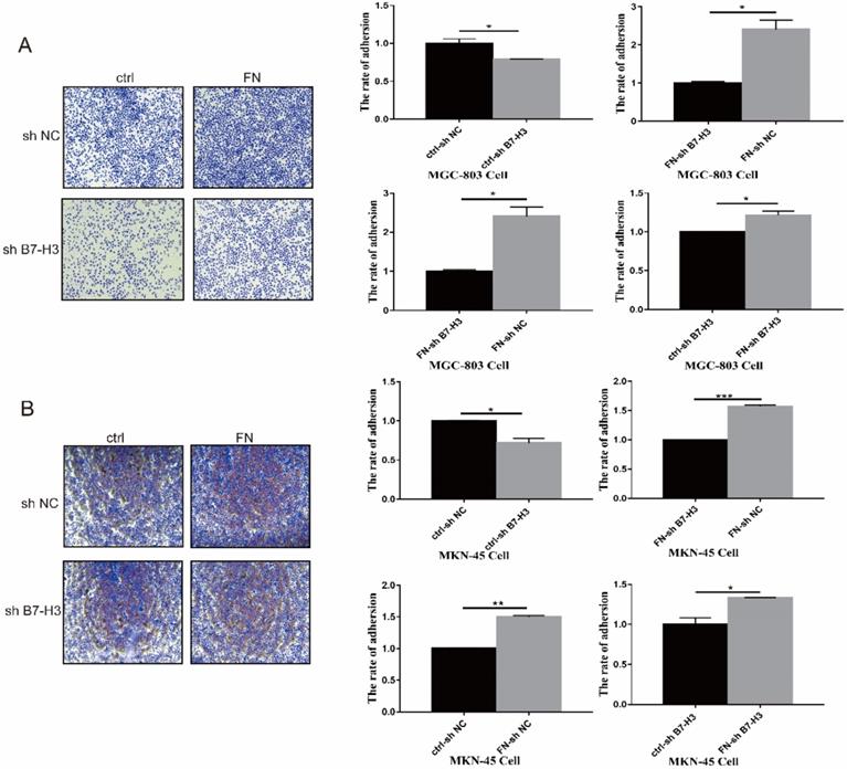 J Cancer Image