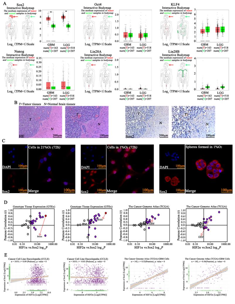 J Cancer Image