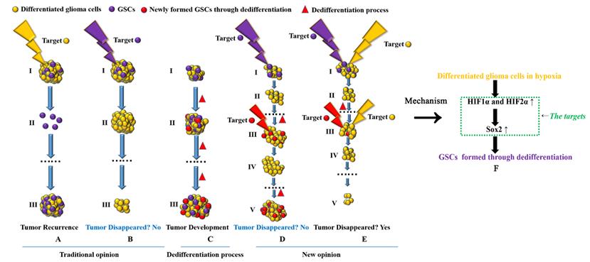 J Cancer Image