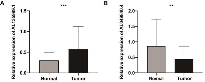 J Cancer Image