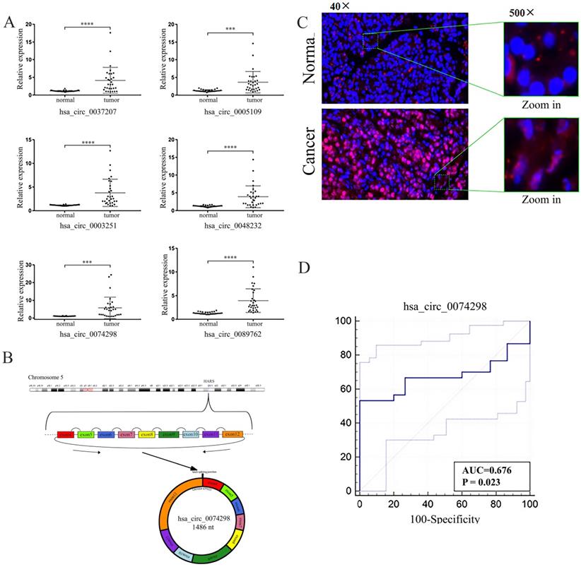 J Cancer Image