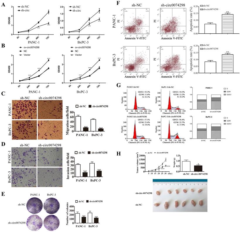 J Cancer Image