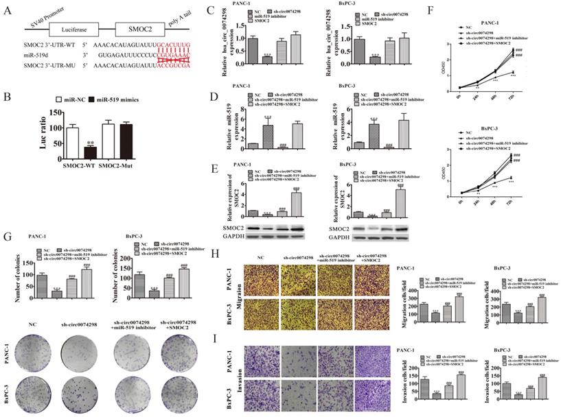 J Cancer Image