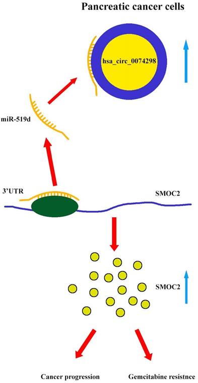 J Cancer Image