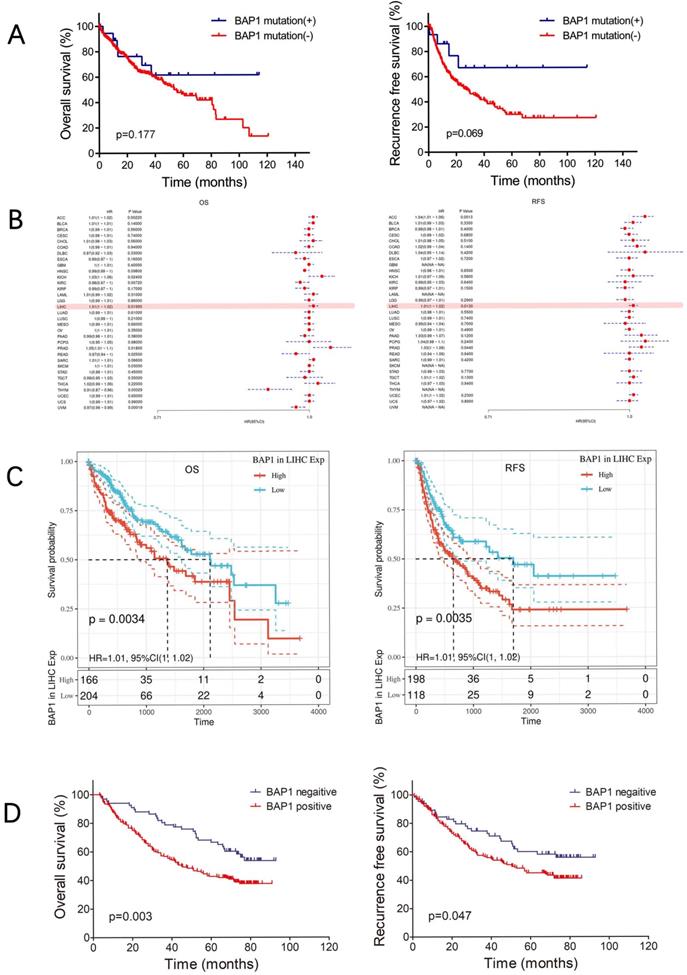 J Cancer Image