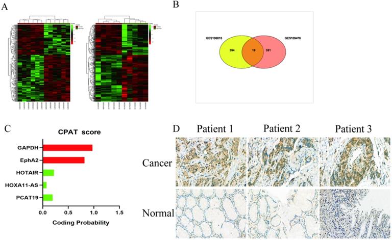 J Cancer Image